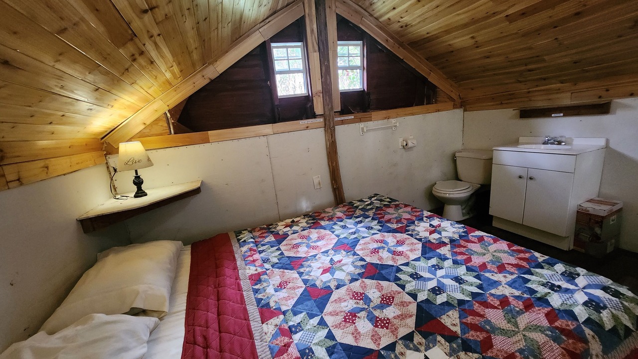 Photo of Others in Fern Forest