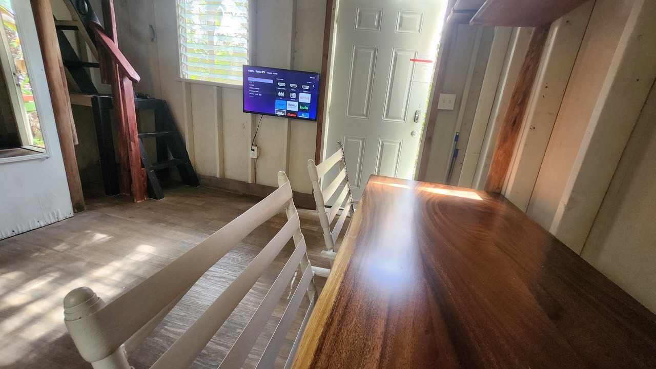 Photo of Others in Fern Forest