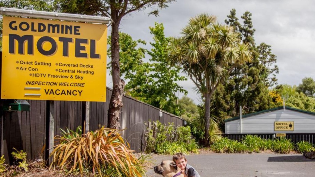 Photo of Outdoor in Waihi