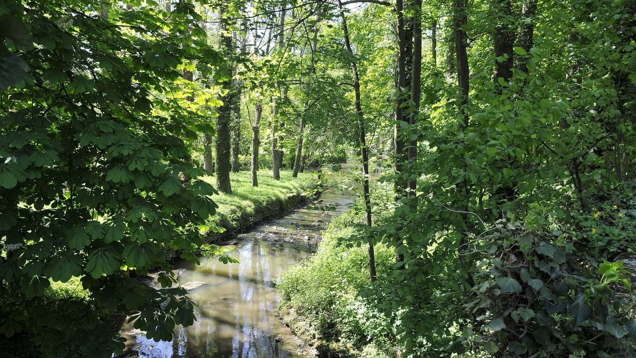 Photo of Others in Vineuil-Saint-Firmin