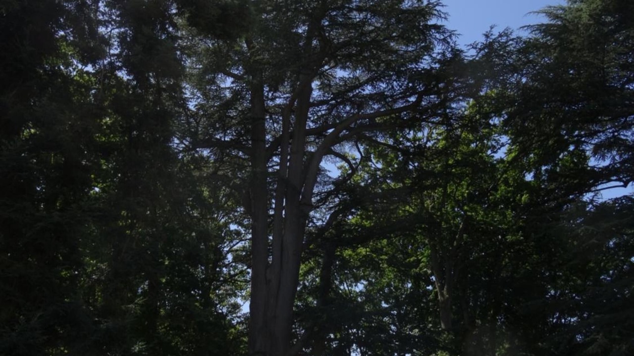 Photo of Outdoor in Pouille