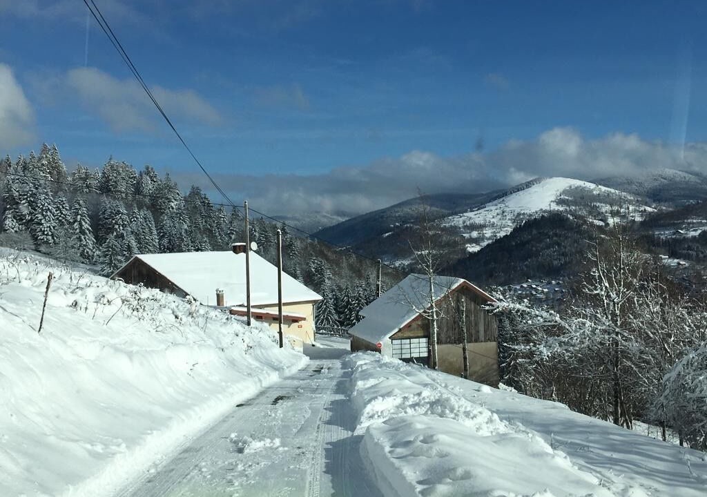 Photo of Others in Le Thillot