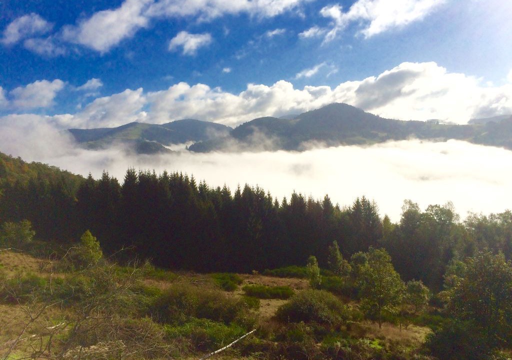 Photo of Outdoor in Le Thillot