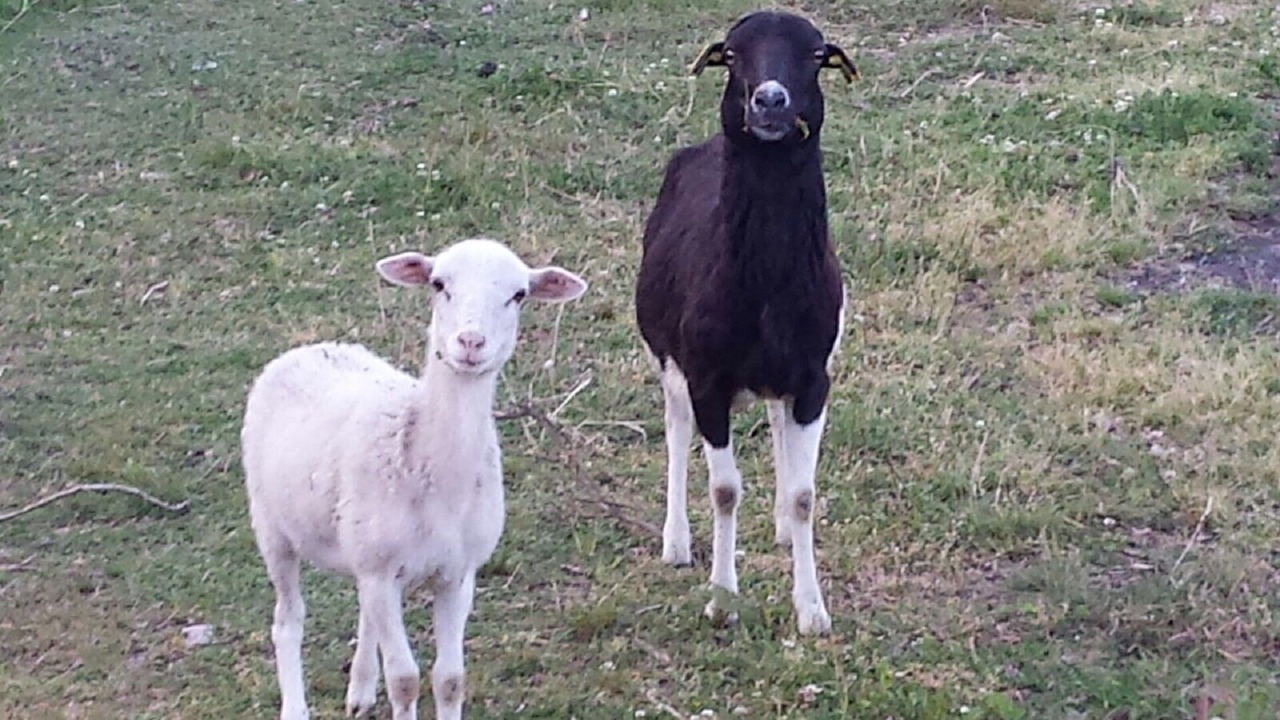 Photo of Outdoor in Le Thillot