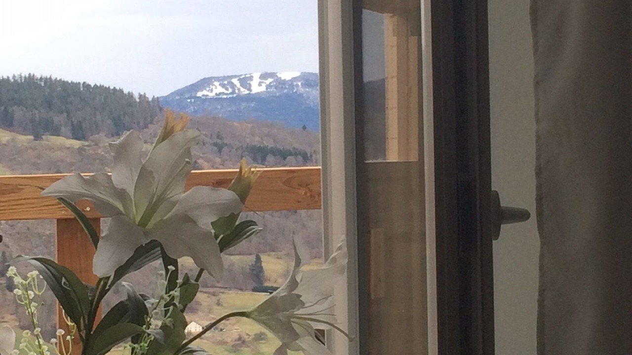 Photo of Others in Le Thillot