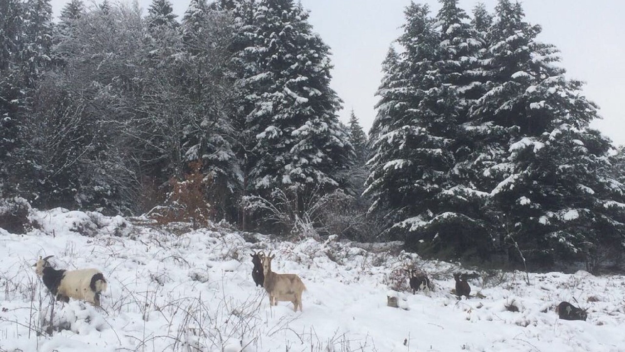 Photo of Outdoor in Le Thillot