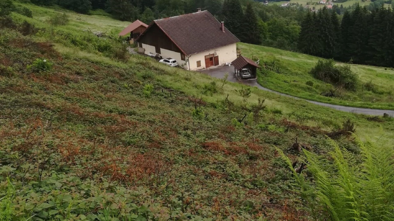 Photo of Others in Le Thillot