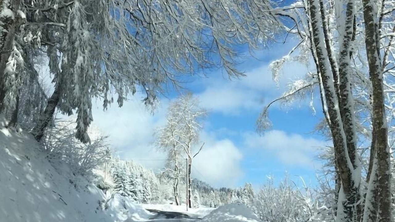 Photo of Others in Le Thillot