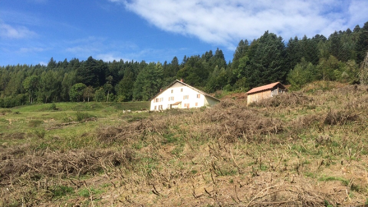 Photo of Outdoor in Le Thillot