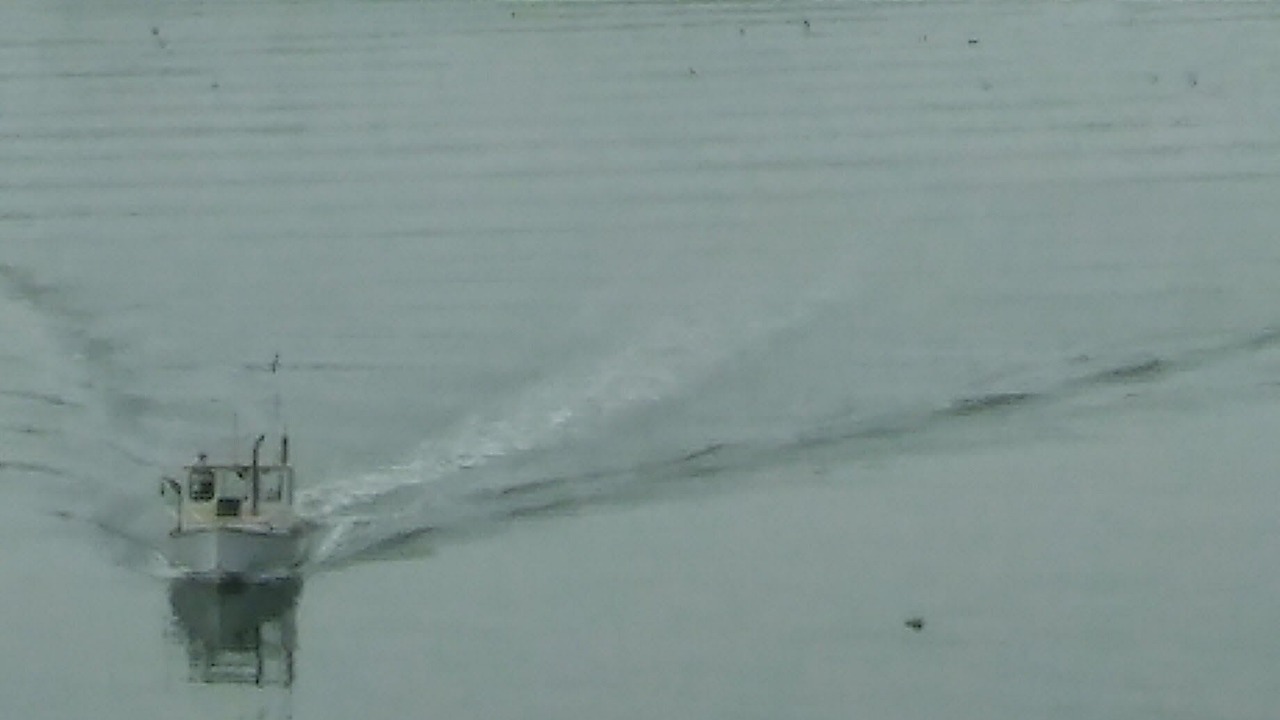 Photo of Others in Edgecomb