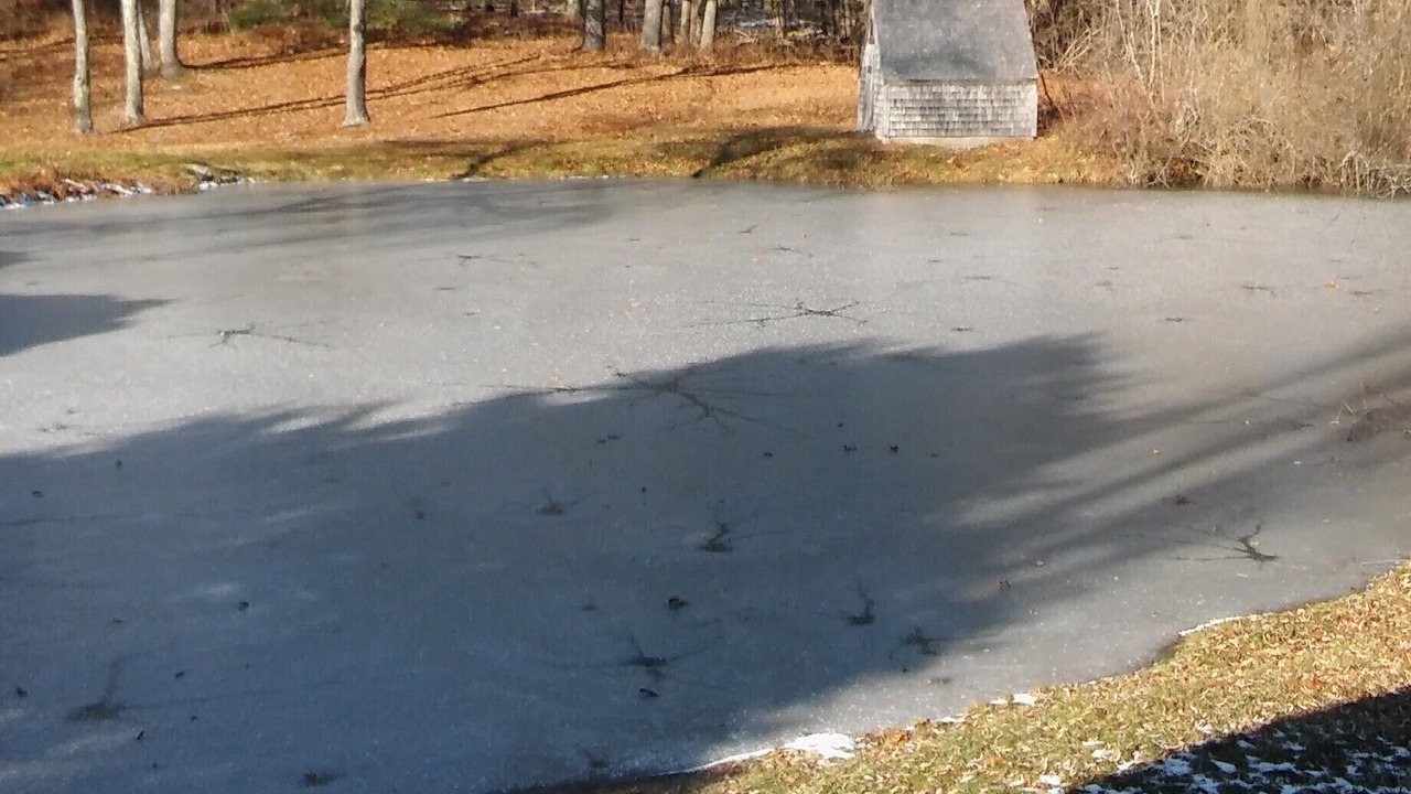 Photo of Others in Edgecomb