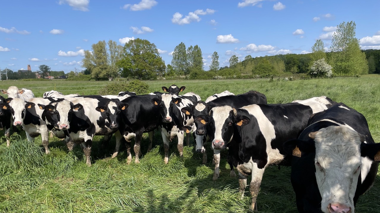 Photo of Outdoor in Merris