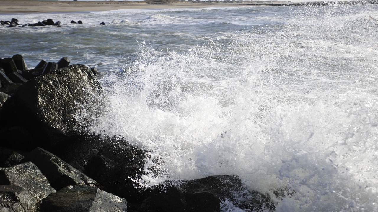 Photo of Others in Thyboron