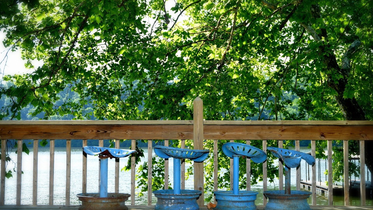 Photo of Outdoor in Versailles