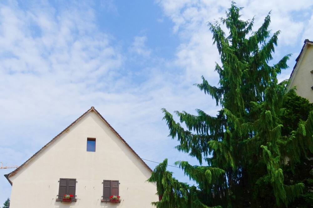 Photo of Outdoor in Sigolsheim