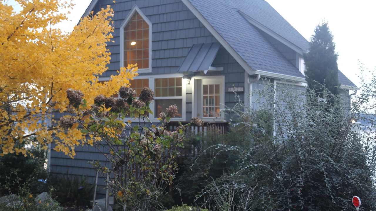 Photo of Outdoor in Olympia