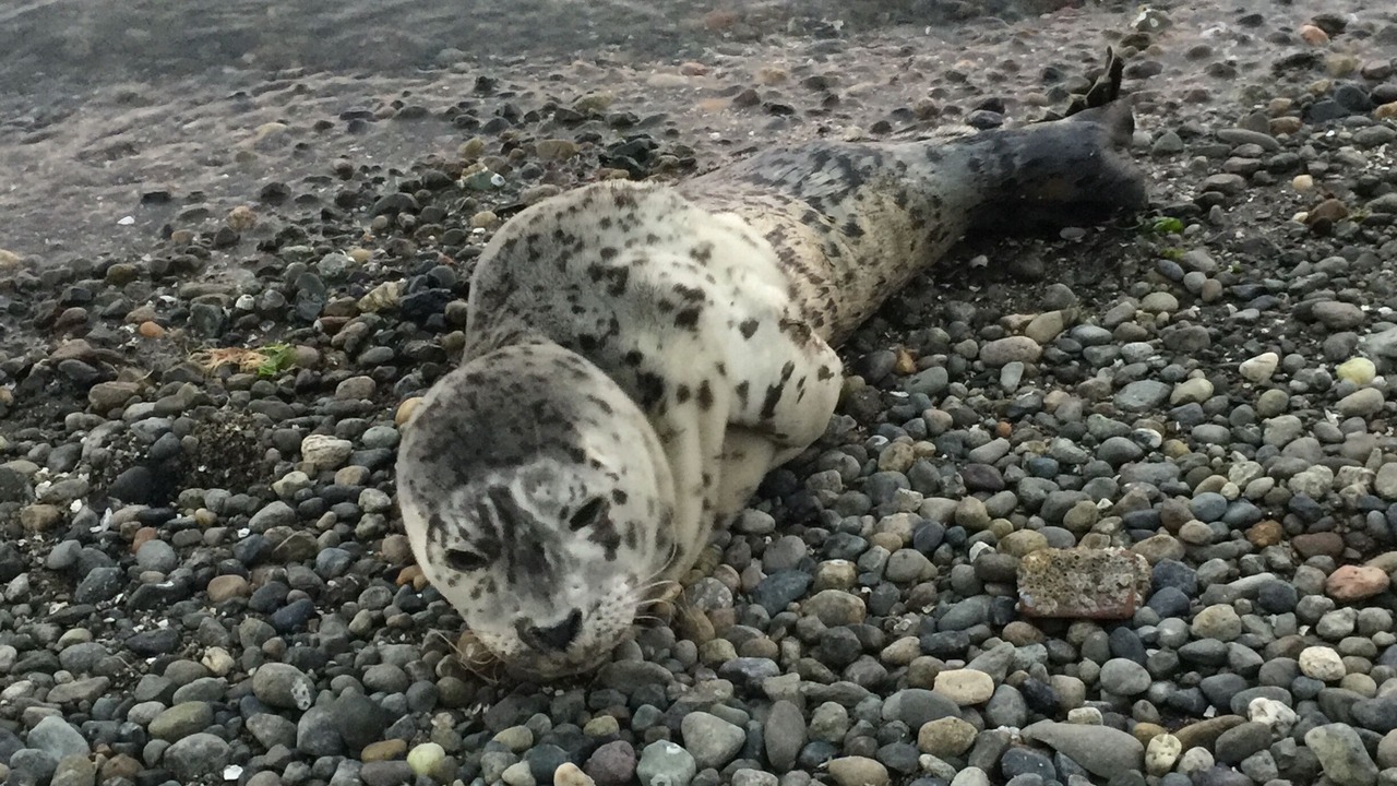 Photo of Others in Olympia