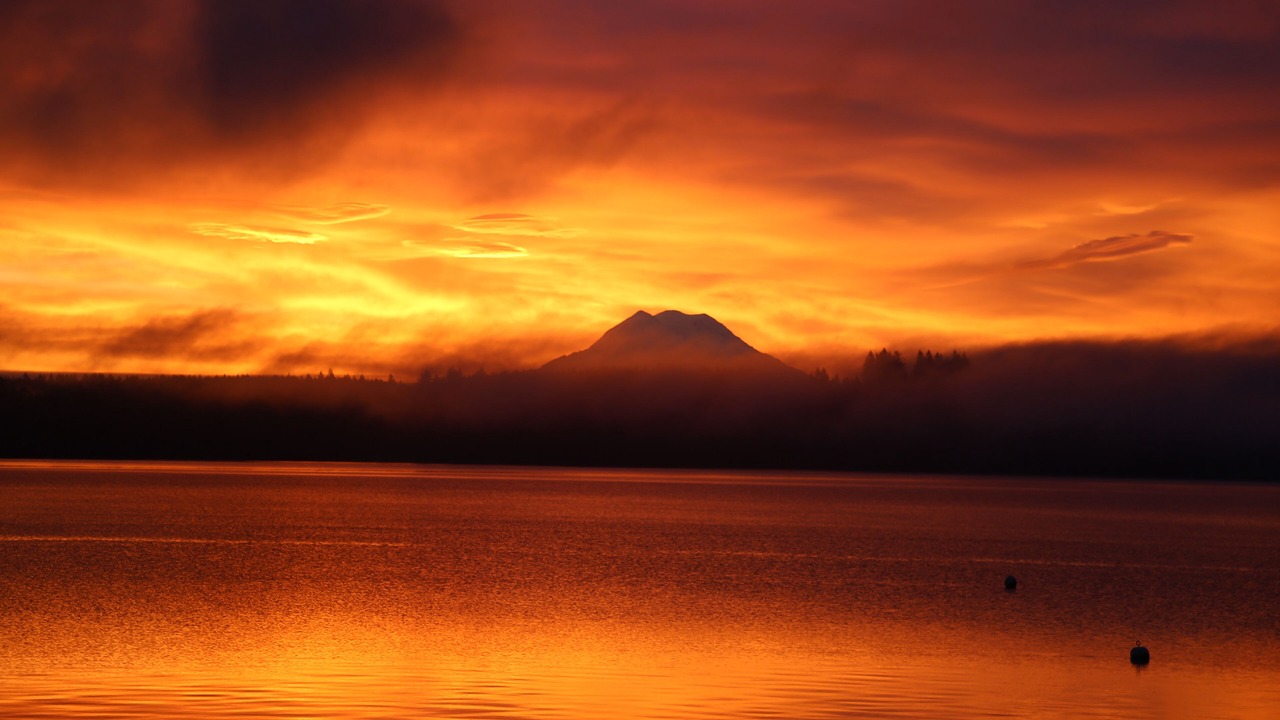 Photo of Others in Olympia