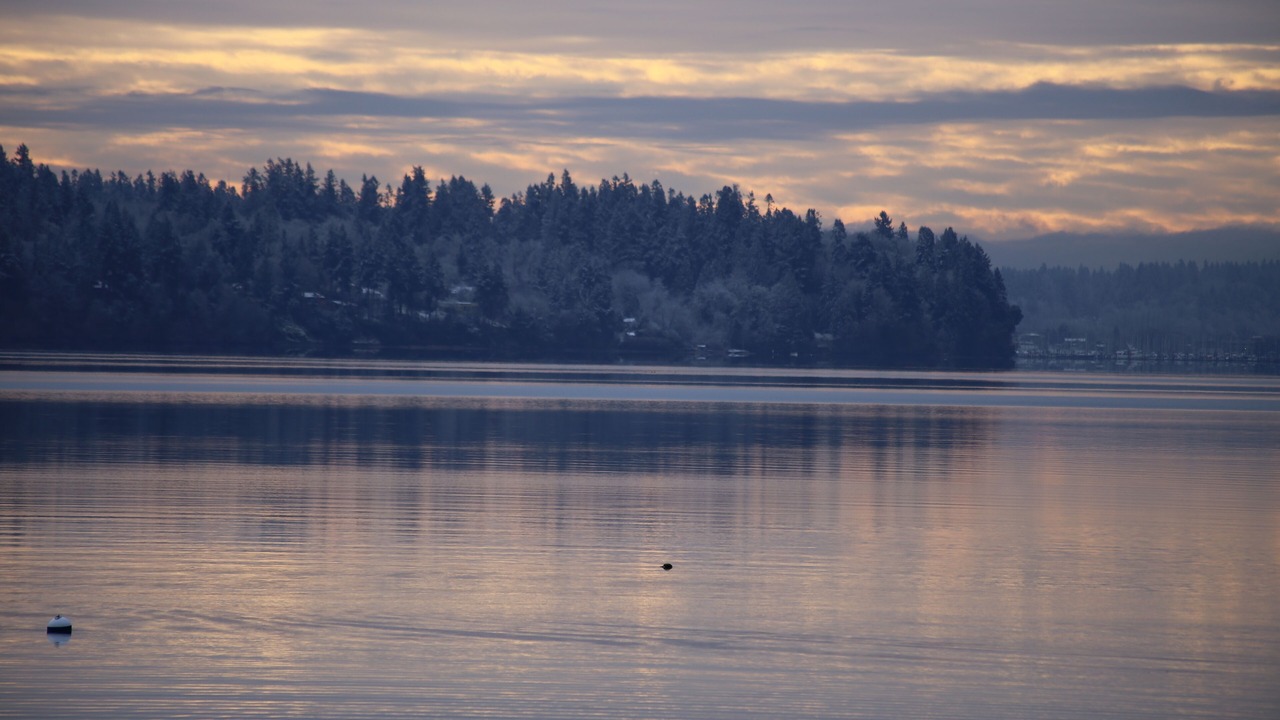 Photo of Outdoor in Olympia