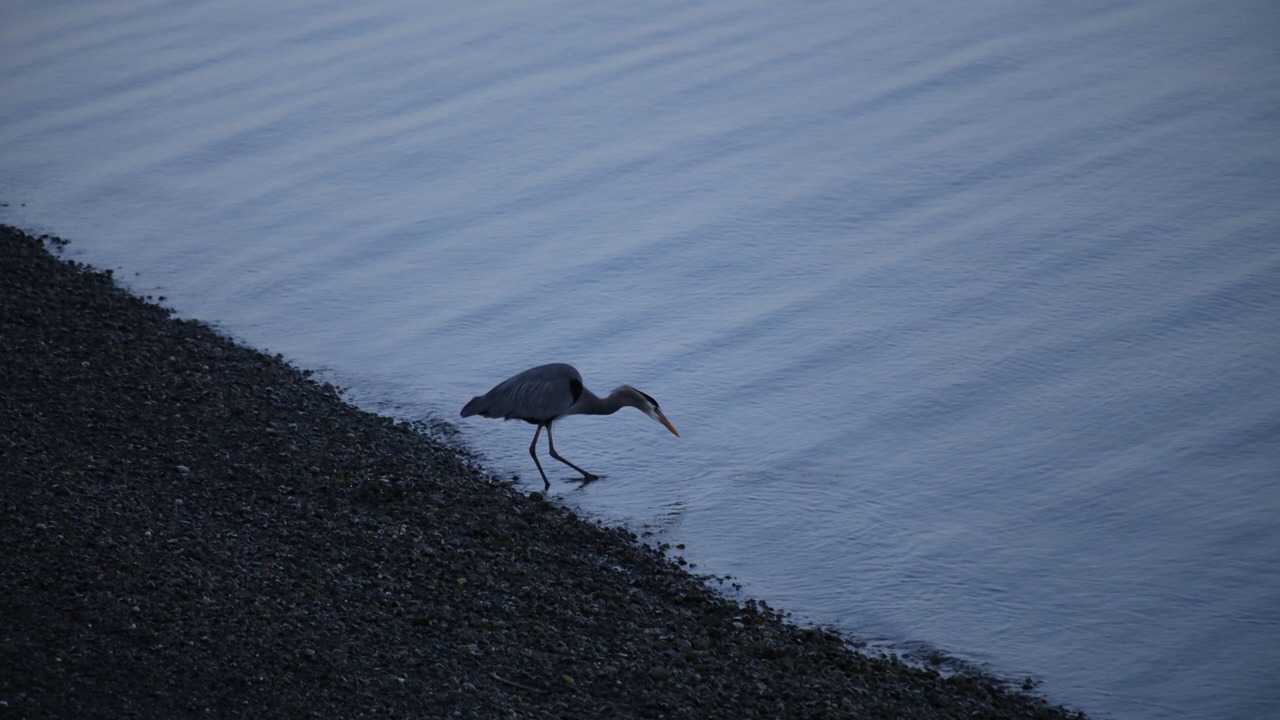 Photo of Others in Olympia