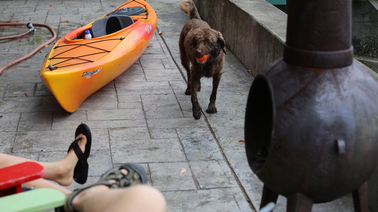 Photo of Others in Olympia