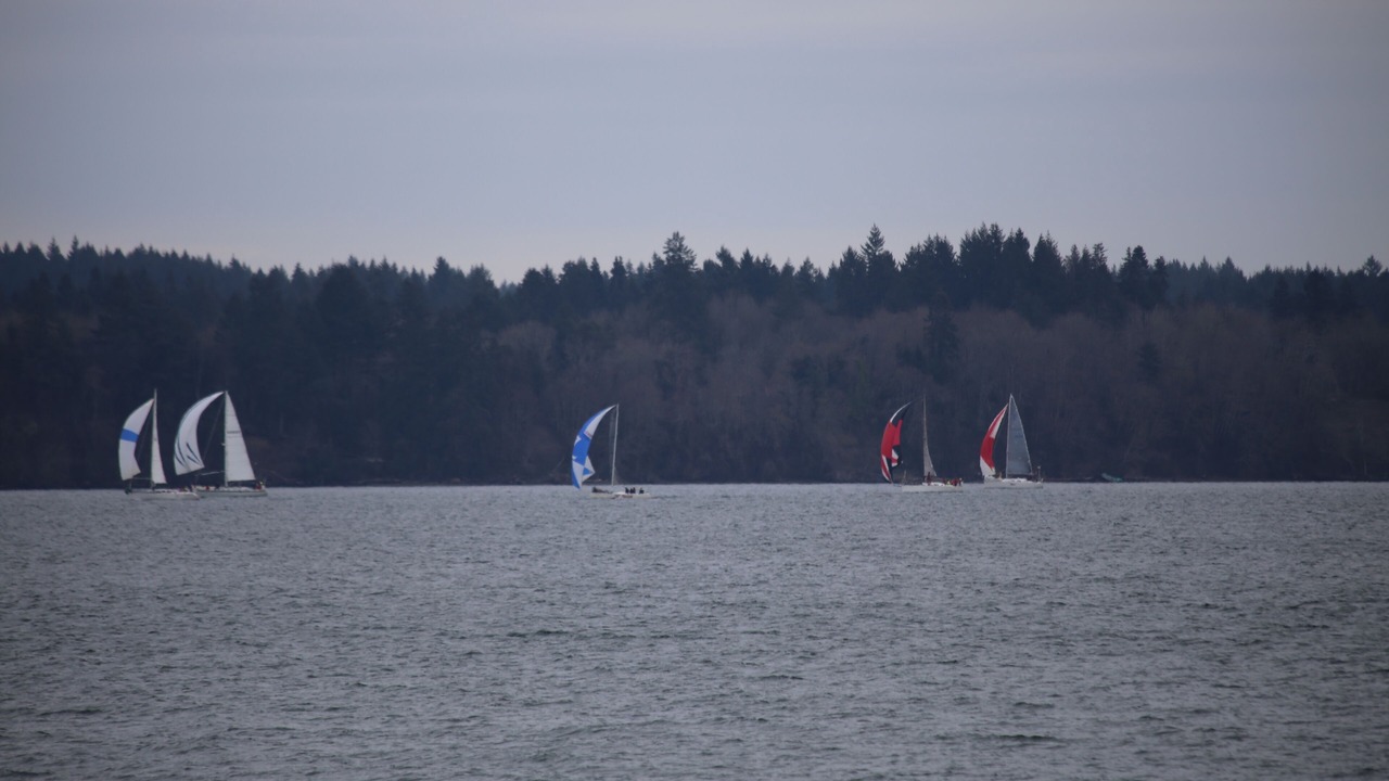 Photo of Outdoor in Olympia