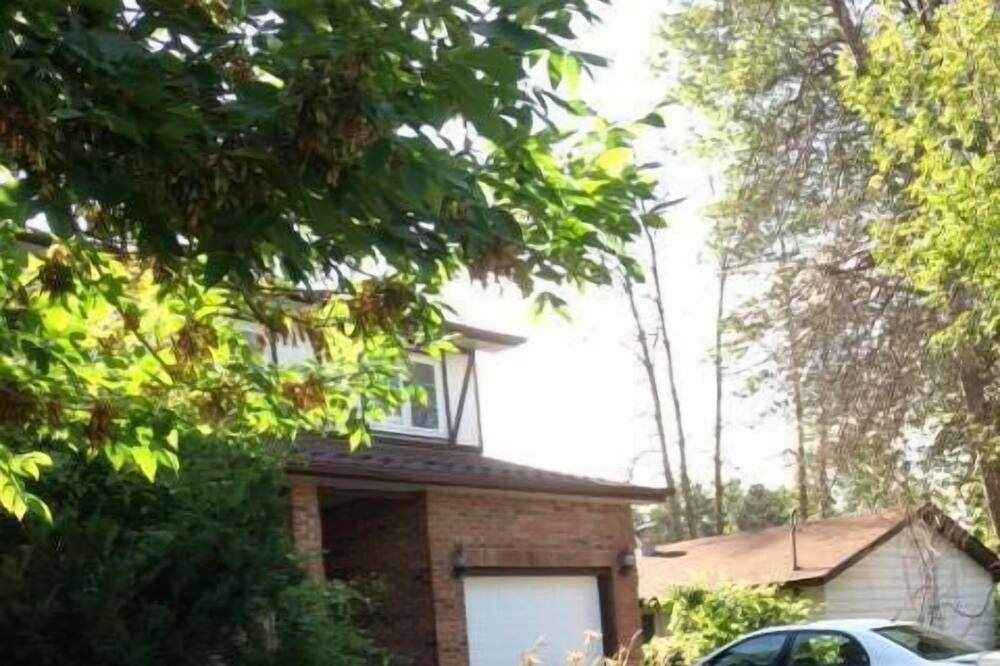 Photo of Outdoor in Ottawa Division