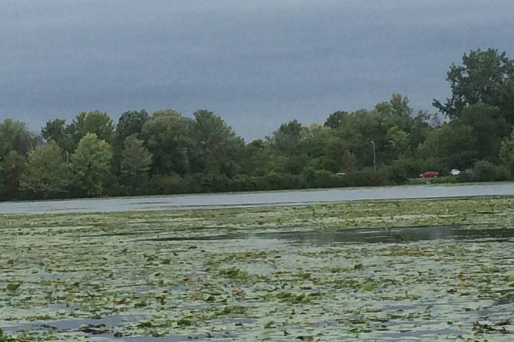 Photo of Outdoor in Ottawa Division