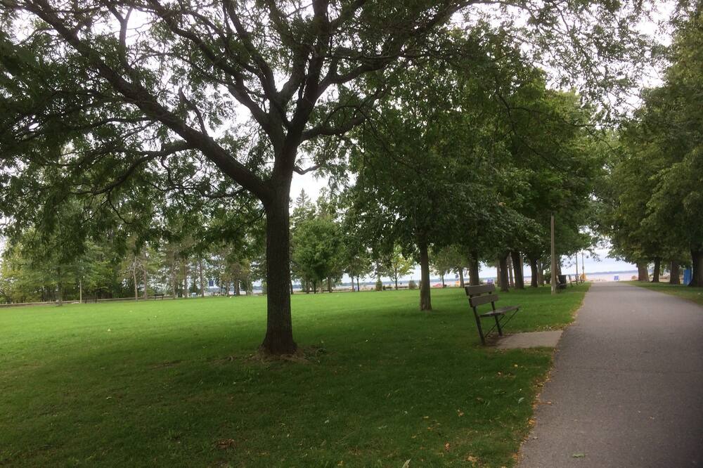 Photo of Outdoor in Ottawa Division
