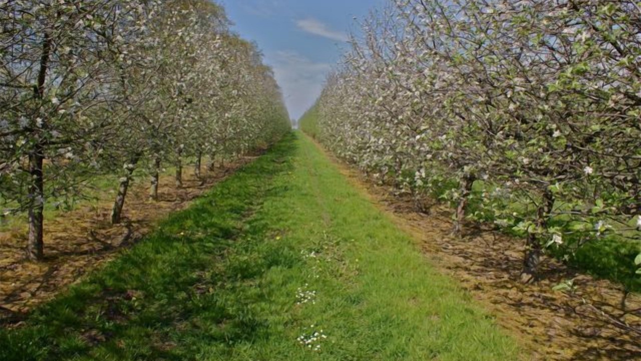 Photo of Outdoor in Pleurtuit