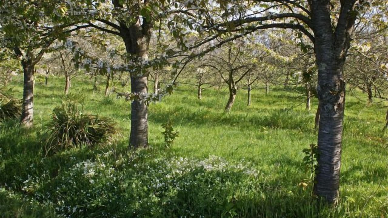 Photo of Outdoor in Pleurtuit