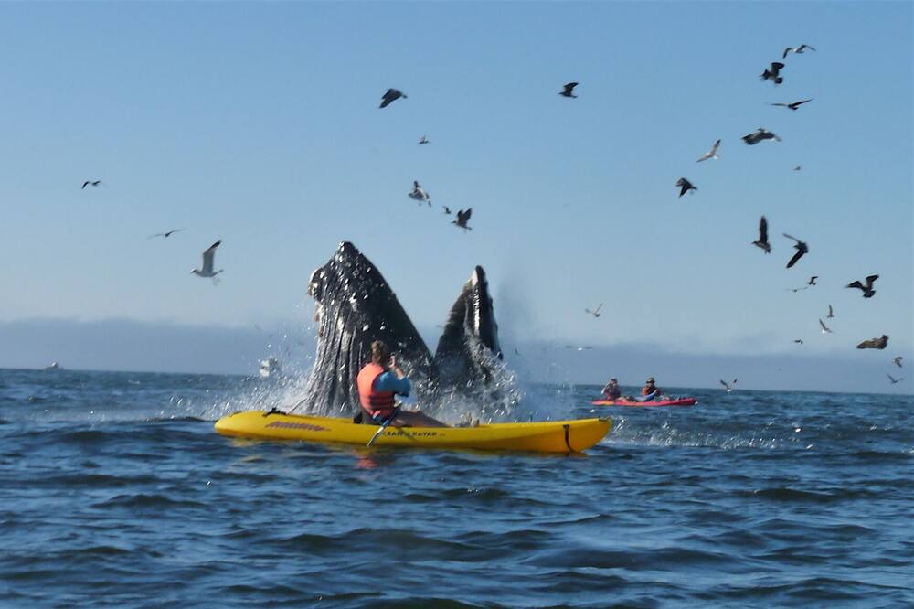 Photo of Others in Half Moon Bay