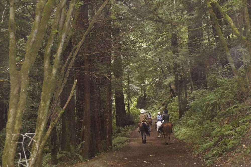 Photo of Others in Half Moon Bay