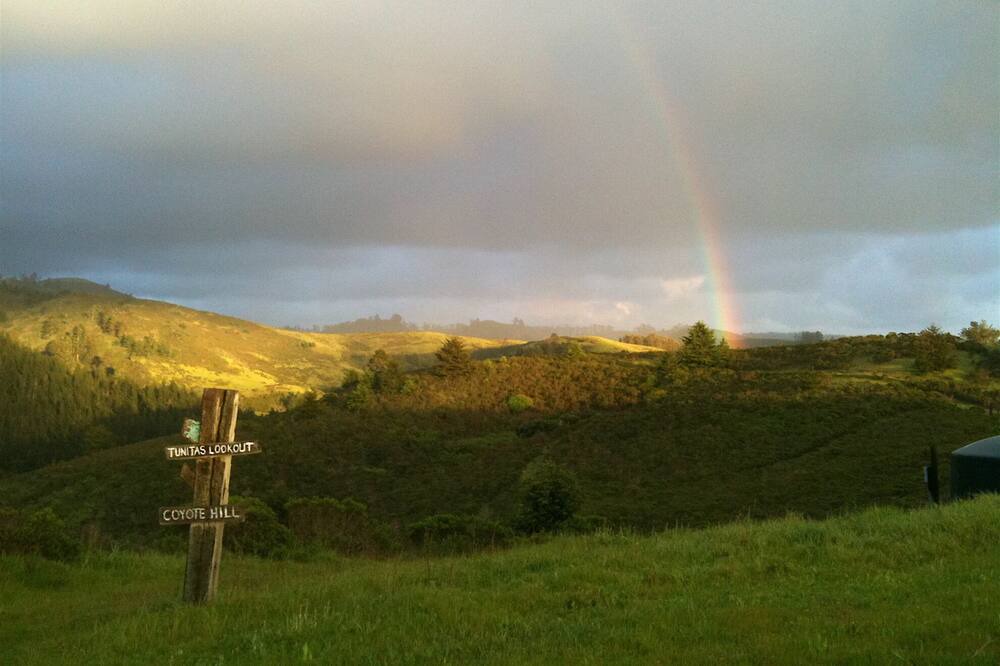 Photo of Others in Half Moon Bay