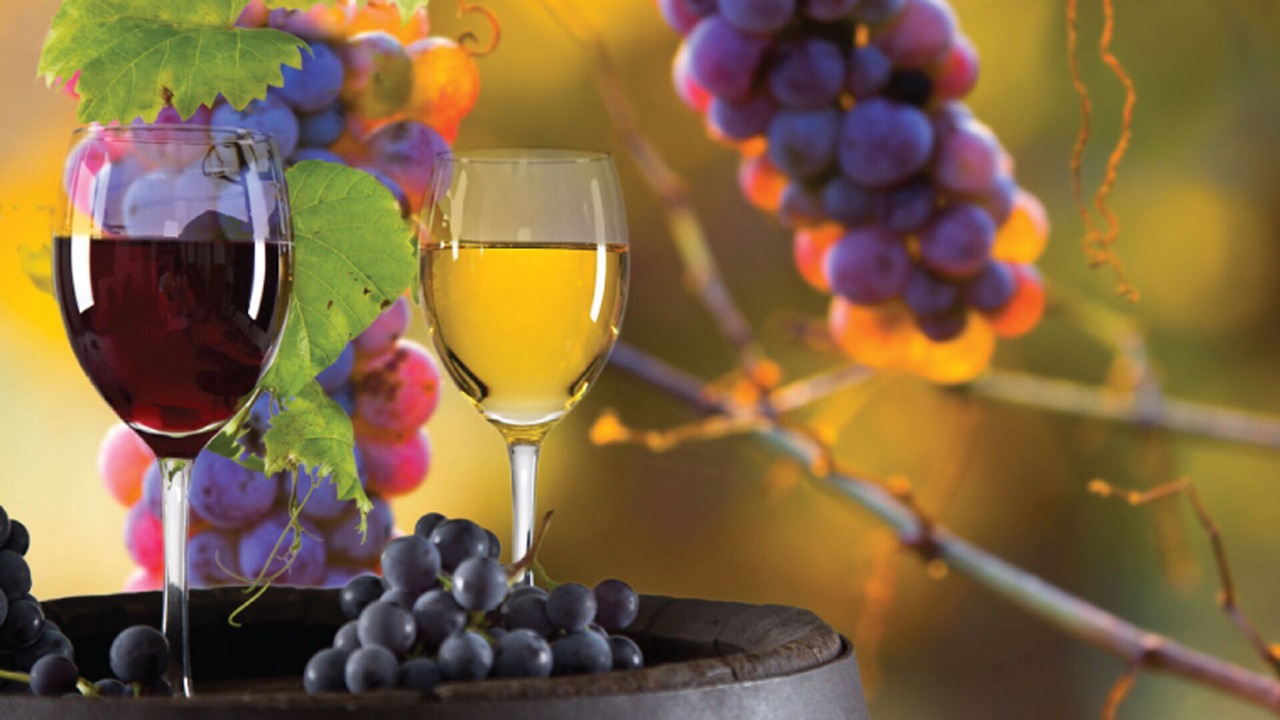 Photo of Others in Dobson