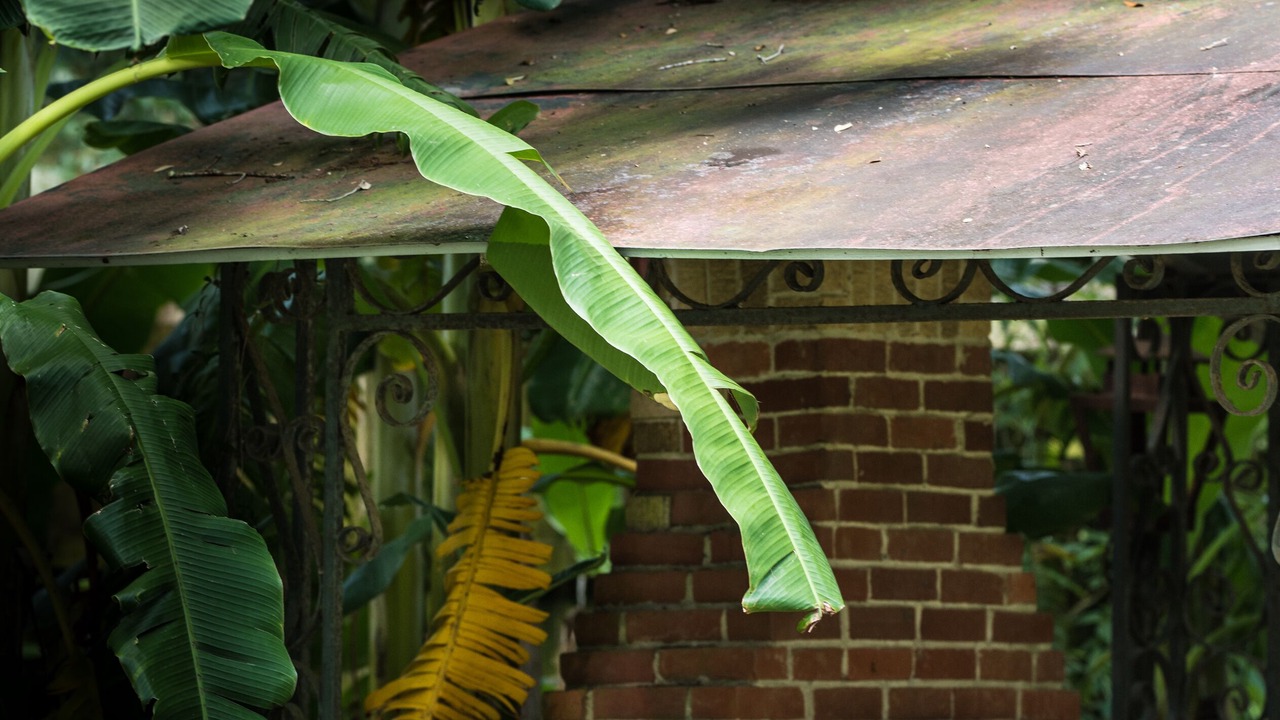 Photo of Outdoor in Lafayette
