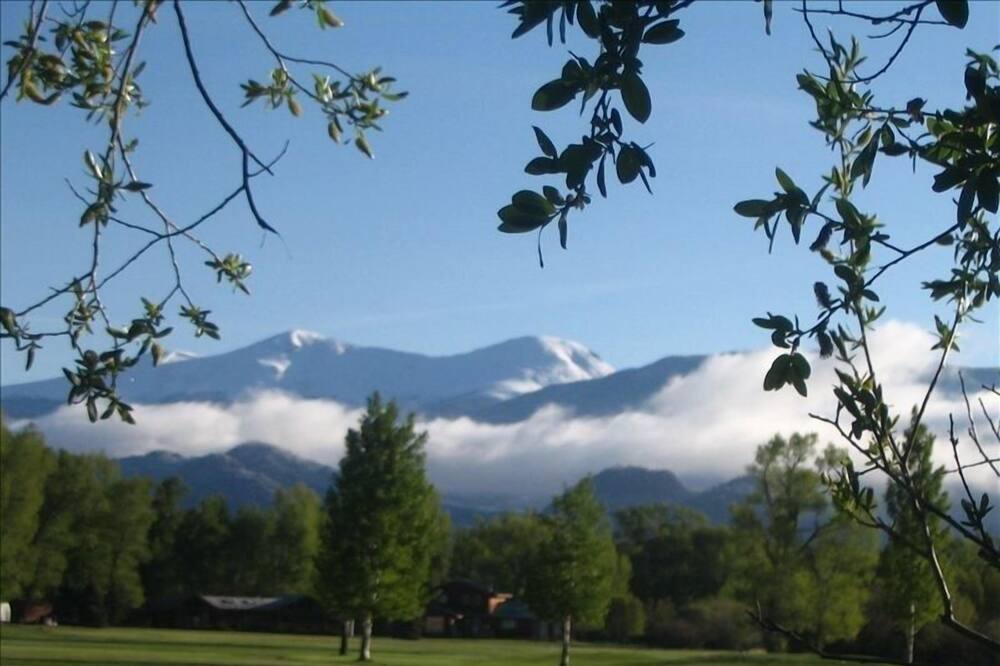 Photo of Others in Buena Vista