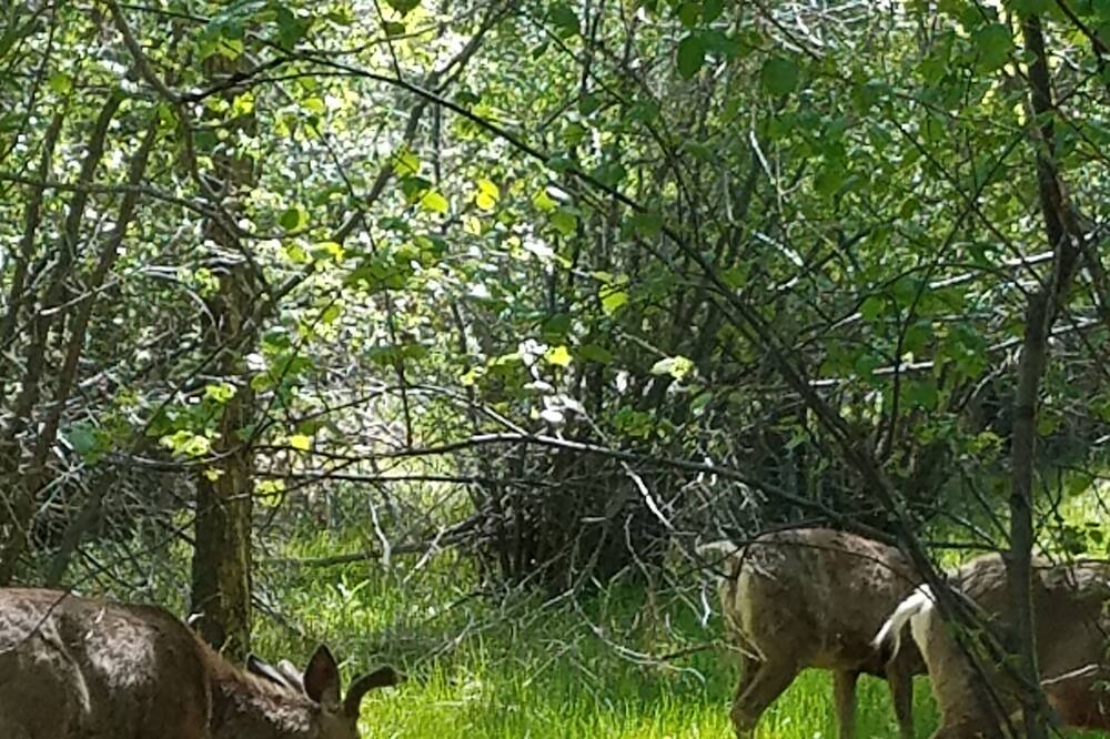Photo of Others in Buena Vista