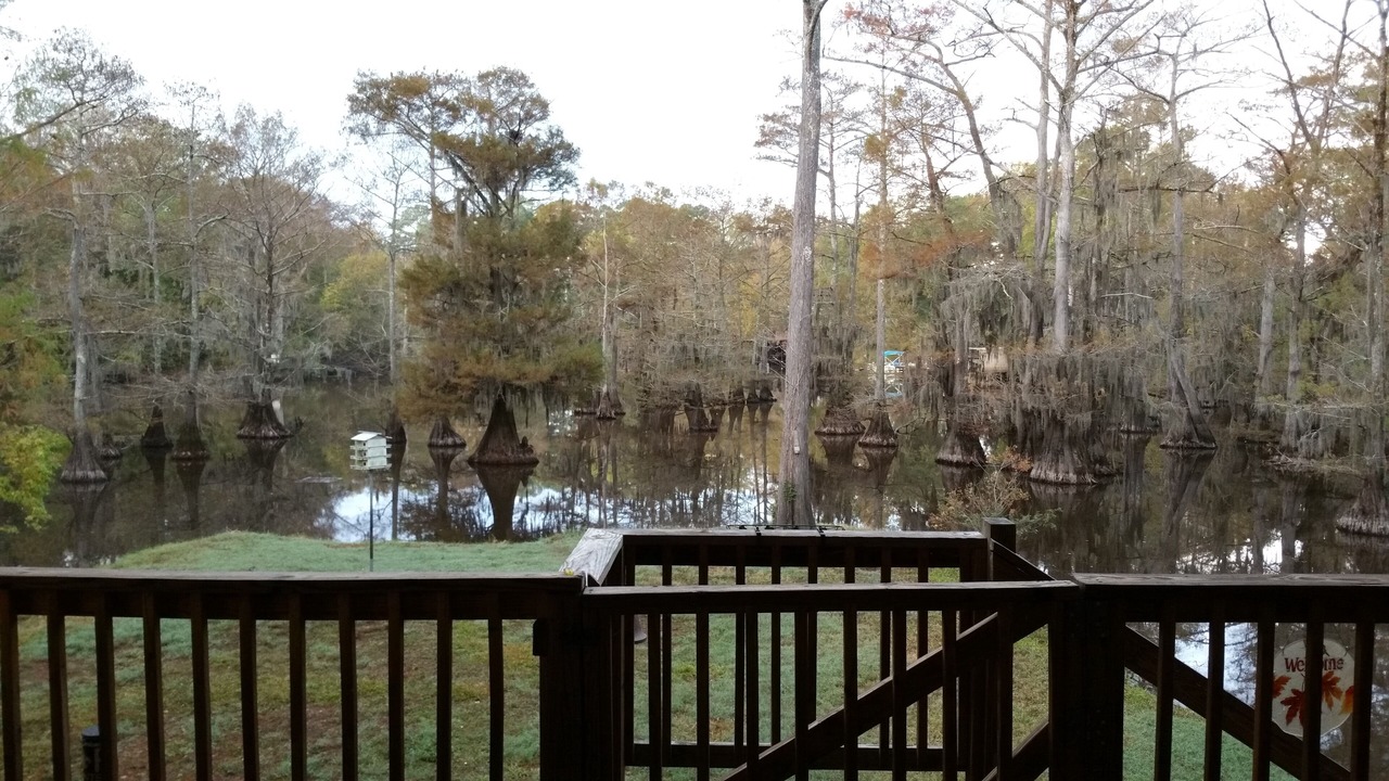Photo of Outdoor in Doyline