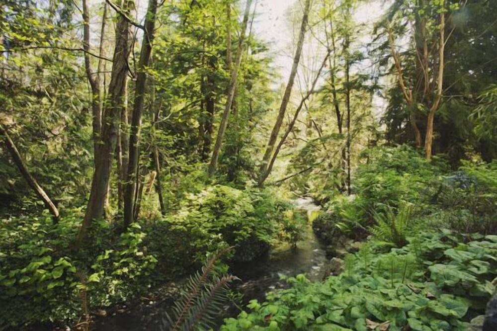 Photo of Others in Lake City