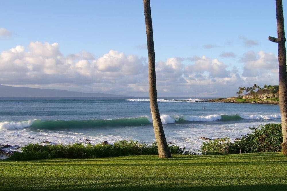 Photo of Others in Napili