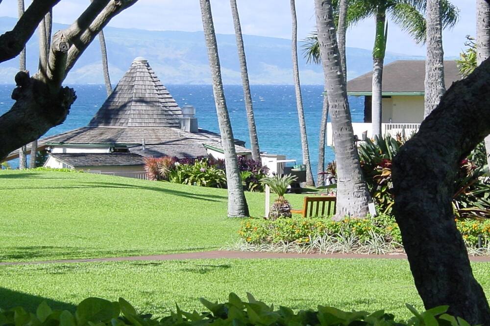 Photo of Outdoor in Napili