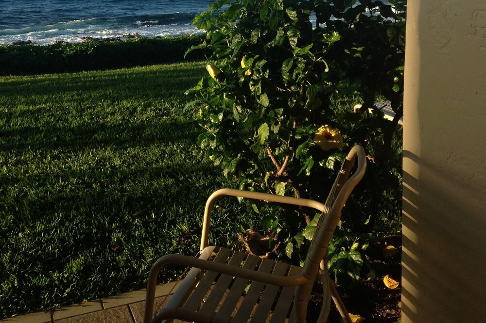 Photo of Others in Napili