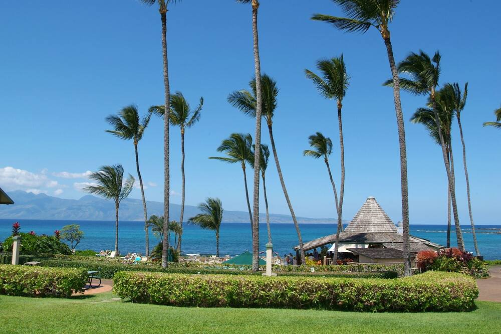 Photo of Others in Napili