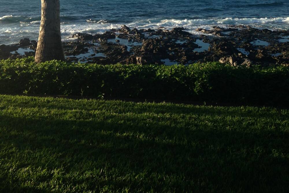 Photo of Others in Napili