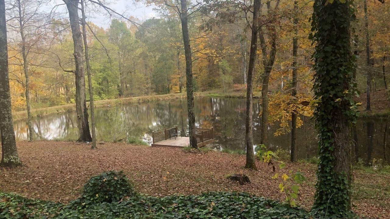 Photo of Outdoor in Vienna