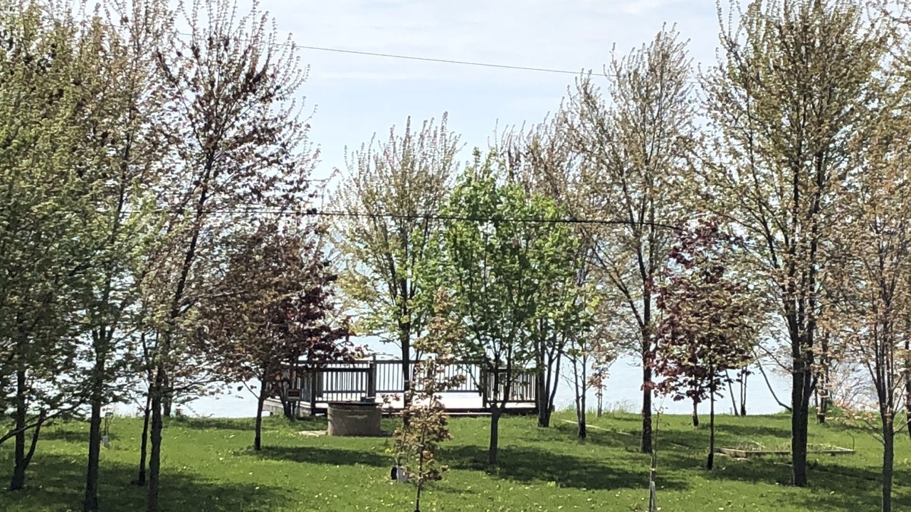Photo of Outdoor in Wheatley