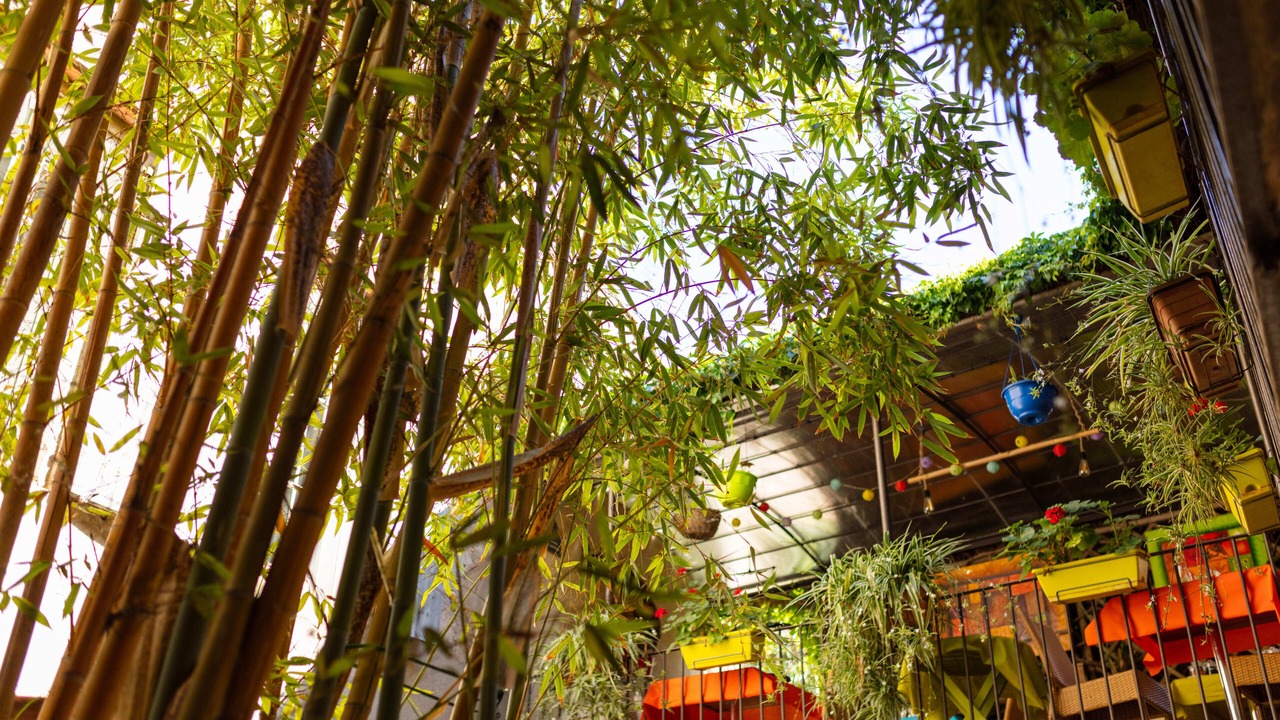 Photo of Outdoor in Rivesaltes