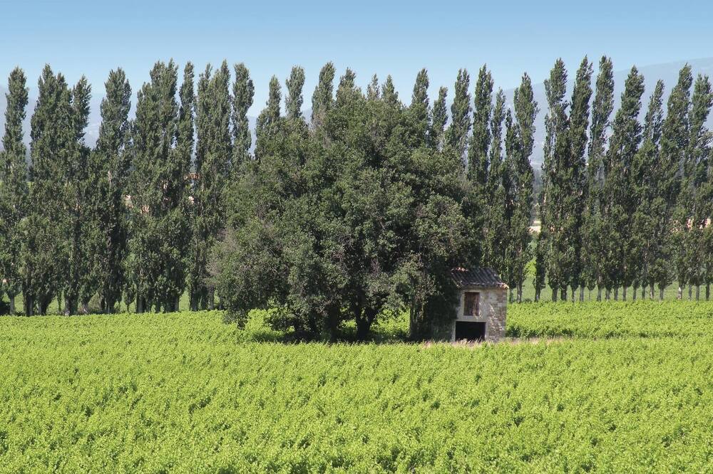 Photo of Others in Loriol-du-Comtat