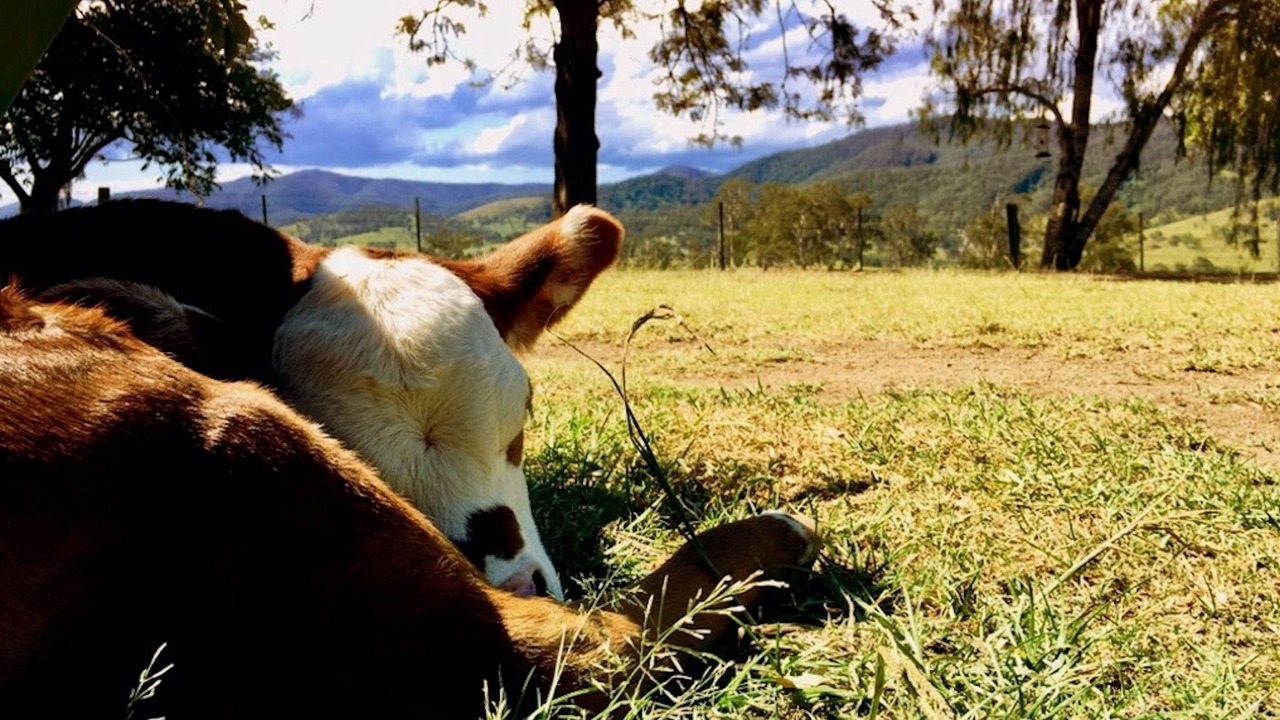 Photo of Others in Bowman Farm